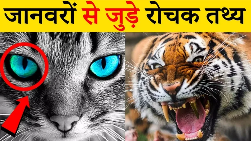 Facts About Animals in Hindi: जानवरों के बारे में रोचक तथ्य (10 Interesting Facts About Animals in Hindi)