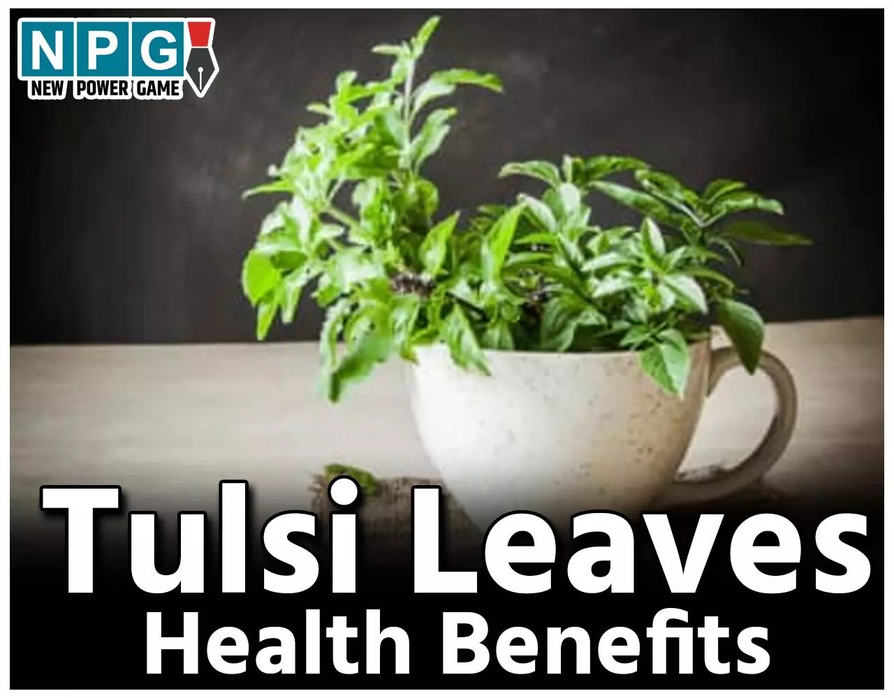 Tulsi Leaves Health Benefits: तुलसी पवित्र ही नहीं, बहुउपयोगी औषधि भी, आइए जानते हैं इसके खास फायदे…