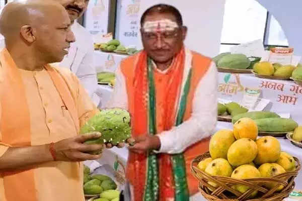 Chhattisgarh News: विष्‍णु को योगी ने उपहार में भेजा काकोरी आमों का टोकरा: सीएम बोले- इन आमों में भी राम की यादें हैं, जानिये..आम के उपहार की कहानी