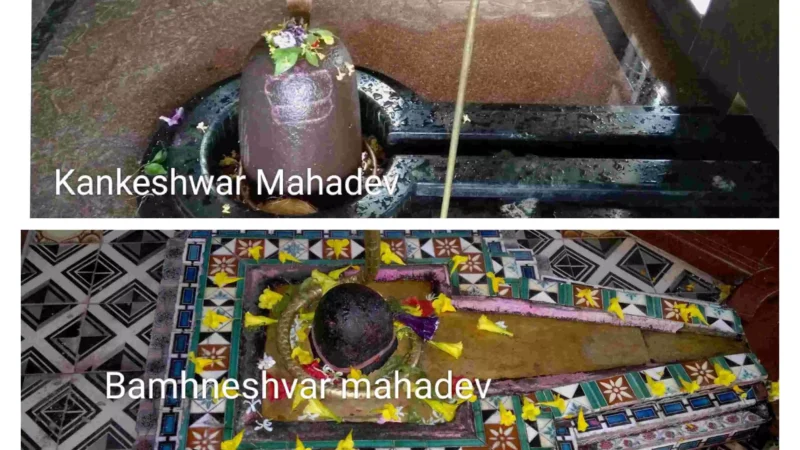 Swayambhu Shivling in Mahasamund : महासमुंद जिले को शिव का खास आशीर्वाद… चारों छोर पर स्थित है "स्वयंभू शिवलिंग", सबकी महिमा अपार