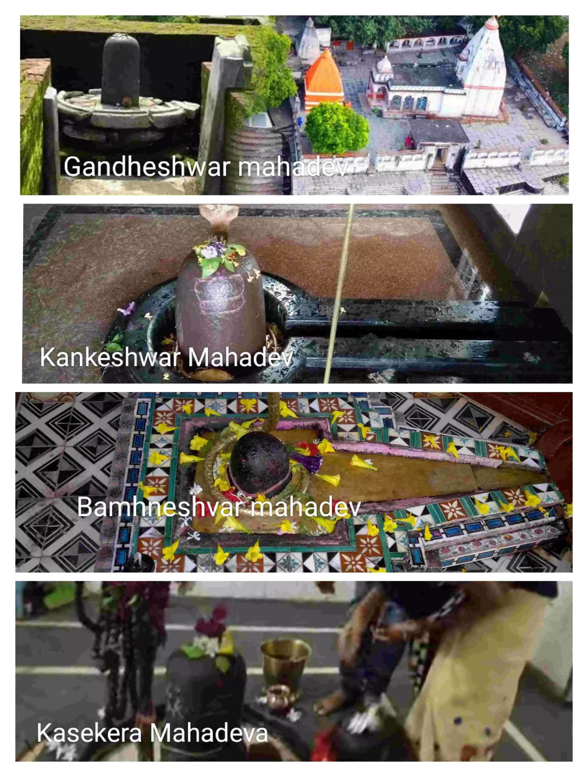 Swayambhu Shivling in Mahasamund : महासमुंद जिले को शिव का खास आशीर्वाद… चारों छोर पर स्थित है "स्वयंभू शिवलिंग", सबकी महिमा अपार