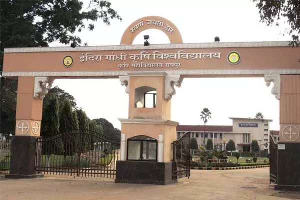 Education News: कृषि कॉलेज में प्रवेश के लिए ऑनलाइन काउंसलिंग शुरु: 17 अगस्त को होगा महाविद्यालय और सीट का आवंटन