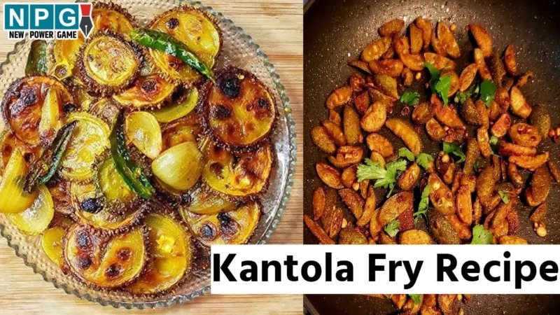 Kantola Fry Recipe: सादे से दाल-चावल का स्वाद बढ़ाने वाली बेहतरीन साइड डिश है कंटोला फ्राई, बरसात में ज़रूर करें ट्राई…