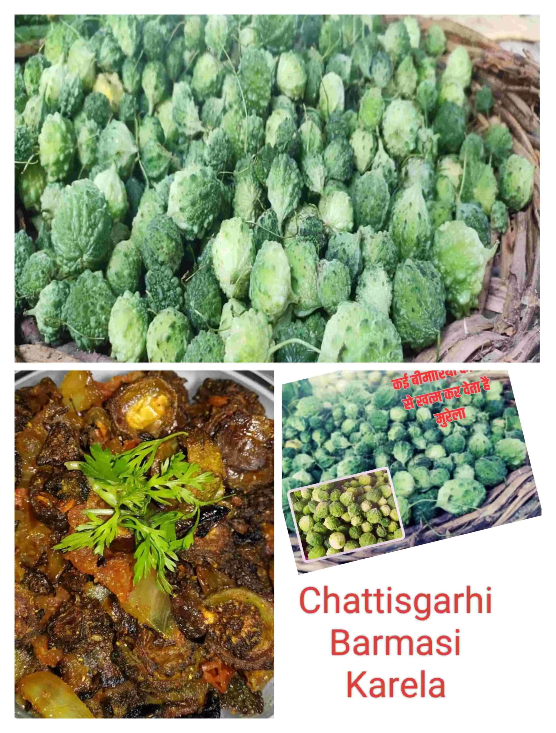 Chattisgarhi Barmasi Karela : मुंह मांगी कीमत में बिकती है स्वादिष्ट छत्तीसगढ़ी "बरमसी करेला"… आइए जानें इसके लाभ और रेसिपी
