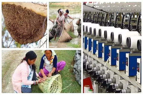 SFURTI Yojana: पारंपरिक उद्योगों को बढ़ावा देने सरकार की स्फूर्ति योजना, 8 करोड़ रुपए तक की आर्थिक सहायता, ऐसे करें ऑनलाइन आवेदन