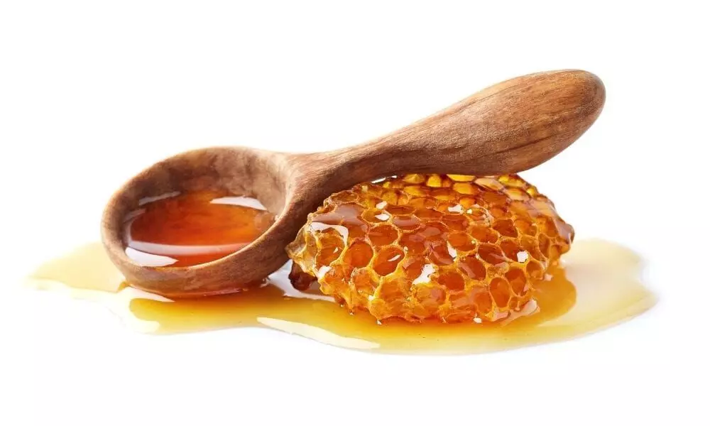 Raw Honey Benefits: सदियों से घर का वैद्य है कच्चा शहद, सर्दी-खांसी में रामबाण, स्किन के लिए भी बेस्ट, बांझपन से भी दे सकता है राहत…