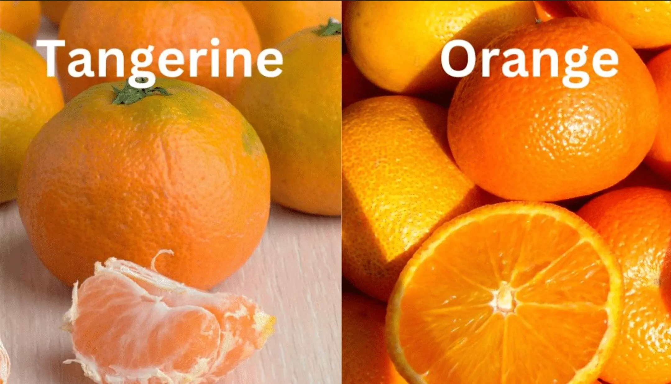 Tangerine Hindi Meaning: टेंजेरीन का हिंदी मीनिंग क्या है, फायदे और संतरे से तुलना, जानिए सबकुछ