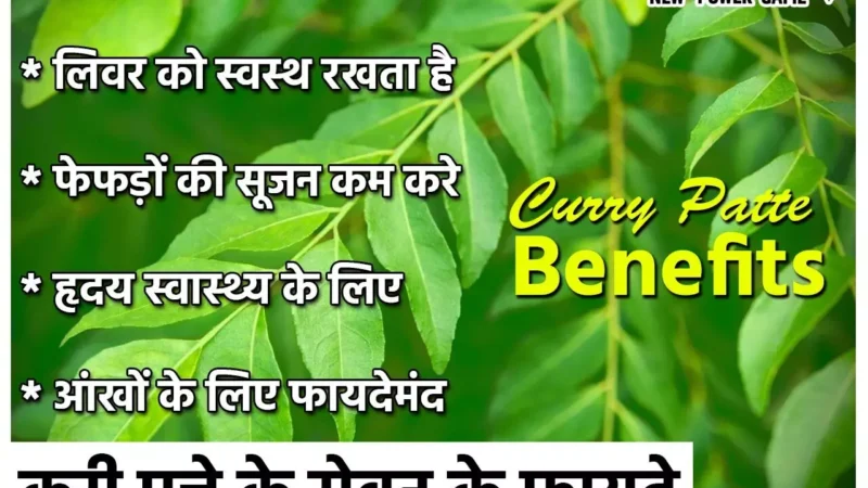 Khali Pet Curry Patte Khane Ke Fayde: सुबह बासी मुंह करी पत्ते चबाने से मिलेंगे इतने सारे फायदे कि जान कर हो जाएंगे हैरान, हार्ट से लेकर लिवर तक को रखे स्वस्थ…