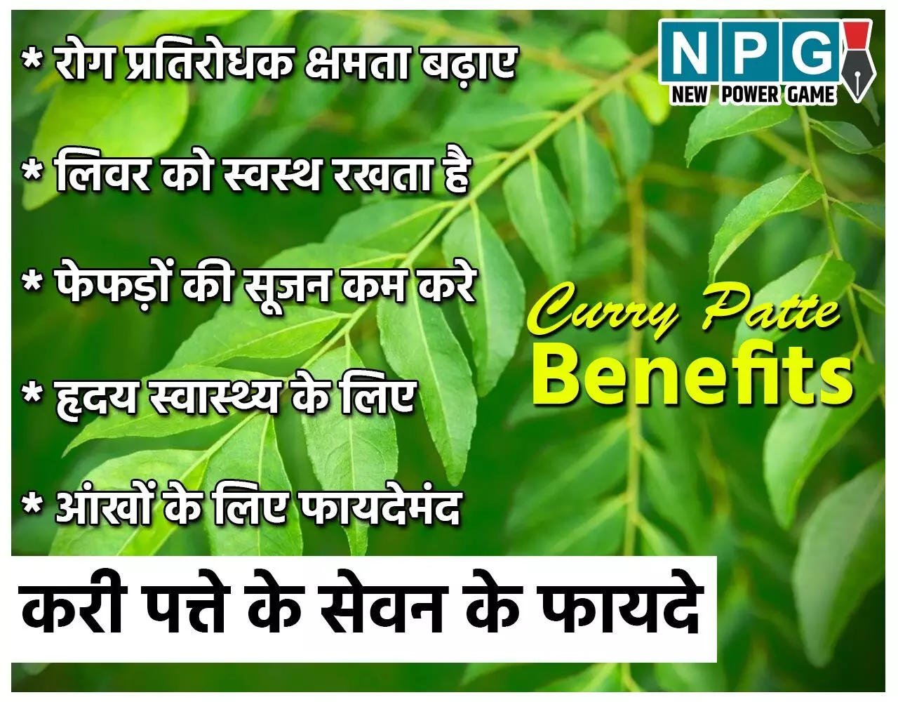 Khali Pet Curry Patte Khane Ke Fayde: सुबह बासी मुंह करी पत्ते चबाने से मिलेंगे इतने सारे फायदे कि जान कर हो जाएंगे हैरान, हार्ट से लेकर लिवर तक को रखे स्वस्थ…