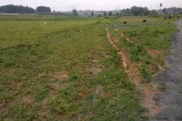 CG News: जशपुर के आदिवासी की जमीन बेल्जियम नागरिक के नाम, कलेक्टर ने दिया ये आदेश