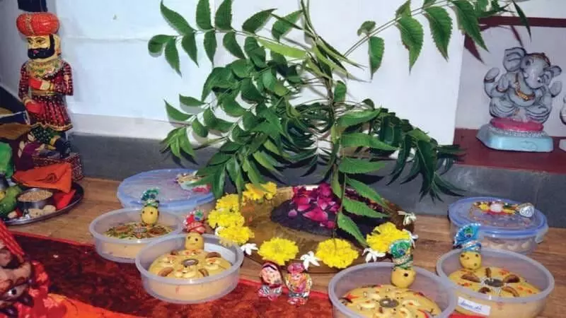 Kajari Teej 2024 In Raipur : इस समाज की महिलायें तीज में नहीं जाती मायके… ससुराल में मनती है तीज
