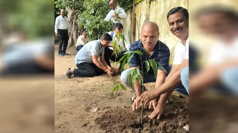 Bilaspur News: एसईसीआर टीटीई संघ ने किया पौधरोपण…