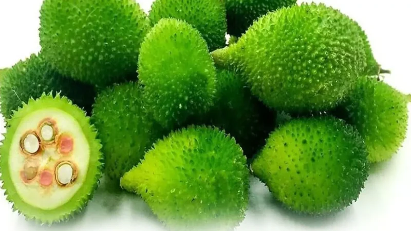 Kantola Health Benefits: कंटोला या ककोड़ा है बारिश के मौसम की बेहतरीन सब्जी, वेजिटेरियन के लिए विटामिन बी 12 का है उम्दा और सस्ता सोर्स…