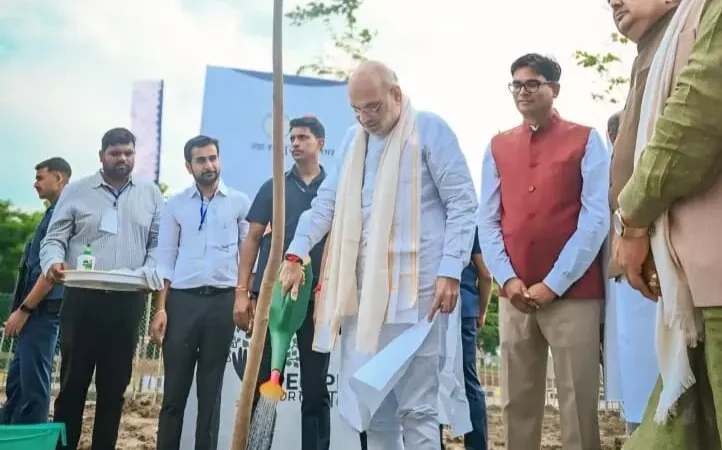 नवा रायपुर बनेगा पीपल सिटी: हर जगह दिखेगा पीपल का पेड़, अमित शाह ने "पीपुल फॉर पीपल", का किया आरंभ