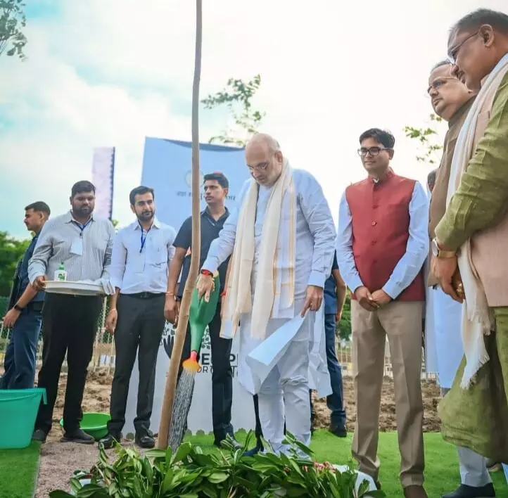 नवा रायपुर बनेगा पीपल सिटी: हर जगह दिखेगा पीपल का पेड़, अमित शाह ने "पीपुल फॉर पीपल", का किया आरंभ