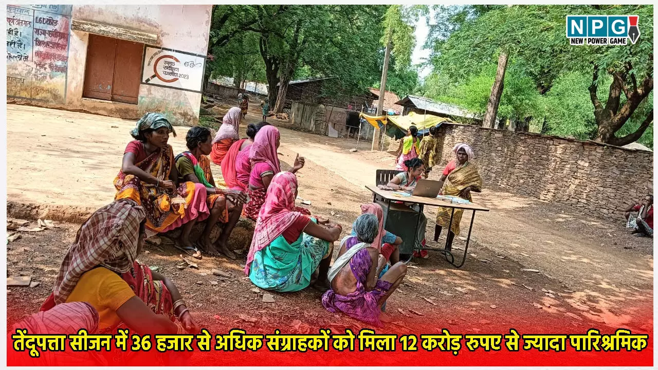 तेंदूपत्ता सीजन 2024 में 36 हजार से अधिक संग्राहकों को 12 करोड़ रुपए से ज्यादा पारिश्रमिक राशि का भुगतान