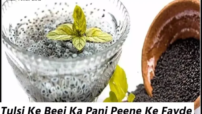 Tulsi Ke Beej Ka Pani Peene Ke Fayde: गुणों से भरा है तुलसी के बीजों का पानी, रोज सुबह पिएं खाली पेट, वेट और पेट कम करना होगा आसान…