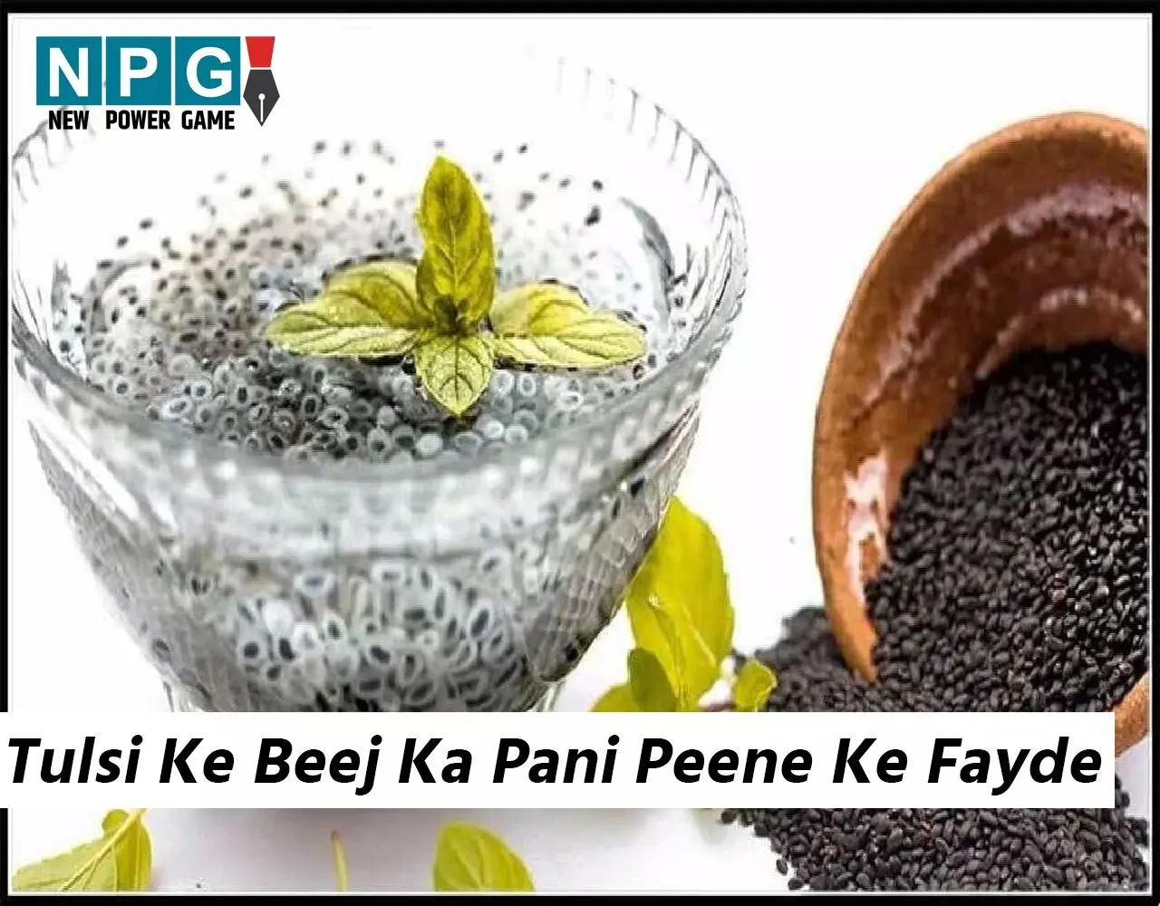 Tulsi Ke Beej Ka Pani Peene Ke Fayde: गुणों से भरा है तुलसी के बीजों का पानी, रोज सुबह पिएं खाली पेट, वेट और पेट कम करना होगा आसान…