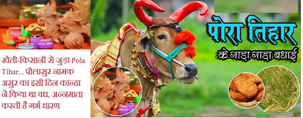 Pola Tihar 2024 : खेती-किसानी से जुड़ा Pola Tihar… पोलासुर नामक असुर का इसी दिन कान्हा ने किया था वध, अन्नमाता करती है गर्भ धारण