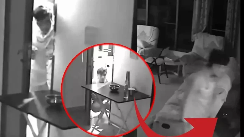 बिल्ली के सामने चोर भी हुआ फूस! इस मशहूर फिल्म डायरेक्टर के घर पर चोरी रोकी चतुर बिल्ली, घटना CCTV में कैद…