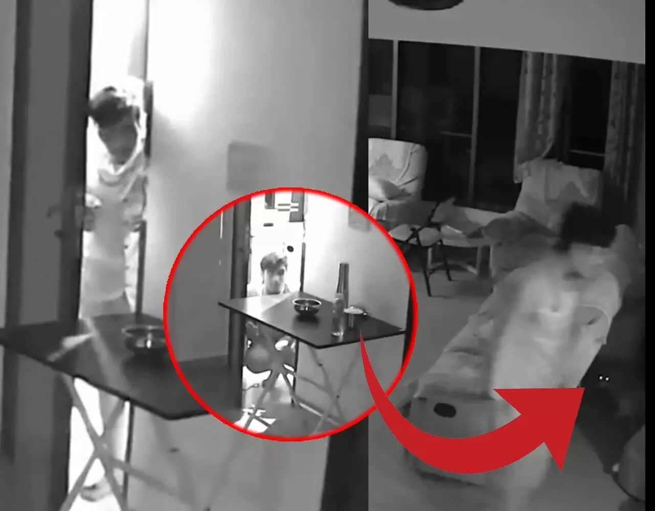 बिल्ली के सामने चोर भी हुआ फूस! इस मशहूर फिल्म डायरेक्टर के घर पर चोरी रोकी चतुर बिल्ली, घटना CCTV में कैद…