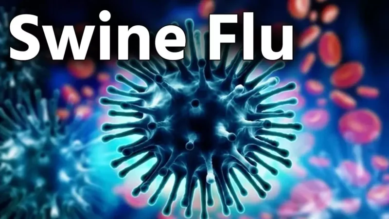 Swine flu: फैल रहा है स्वाइन फ्लू, इलाज में न करें लापरवाही, ये घरेलू नुस्खे भी आएंगे काम…