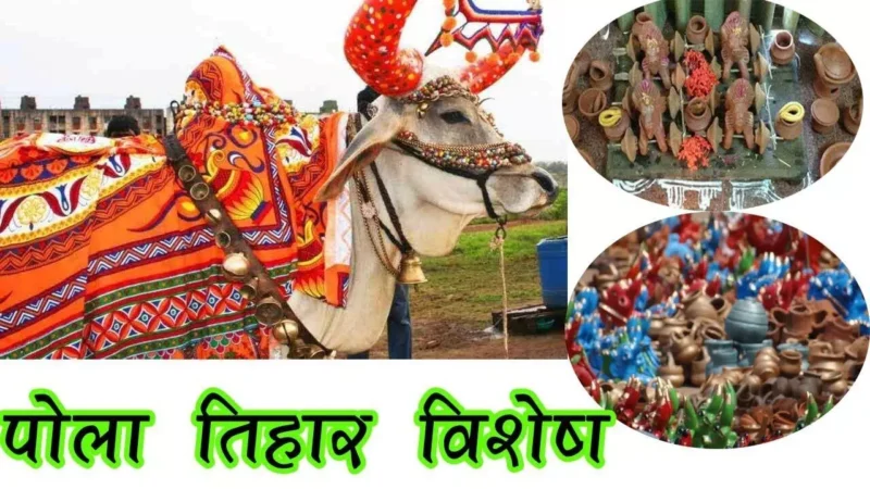 Pora Tihar 2024 in Chattisgarh : धर्म-संस्कृति और प्रकृति को आपस में जोड़कर जीवन का सत्य और कार्यों को दर्शाता है "पोरा तिहार"