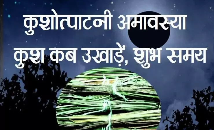 Kushotpatini Amavasya 2024 : इसी दिन विधिवत तरीके से उखाड़ा जाता है कुश…पूरे साल देवी-देवता और पितरों की पूजा के लिए किया जाता है इस्तेमाल