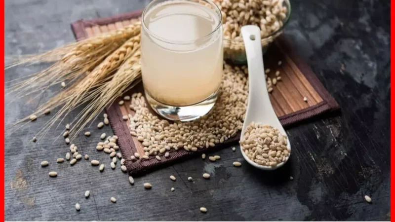 Barley Water Health Benefits In Hindi: वेट लाॅस, यूटीआई, बीपी से लेकर कैंसर से बचाव तक में फायदेमंद है जौ का पानी, बनाने का तरीका भी जाने…