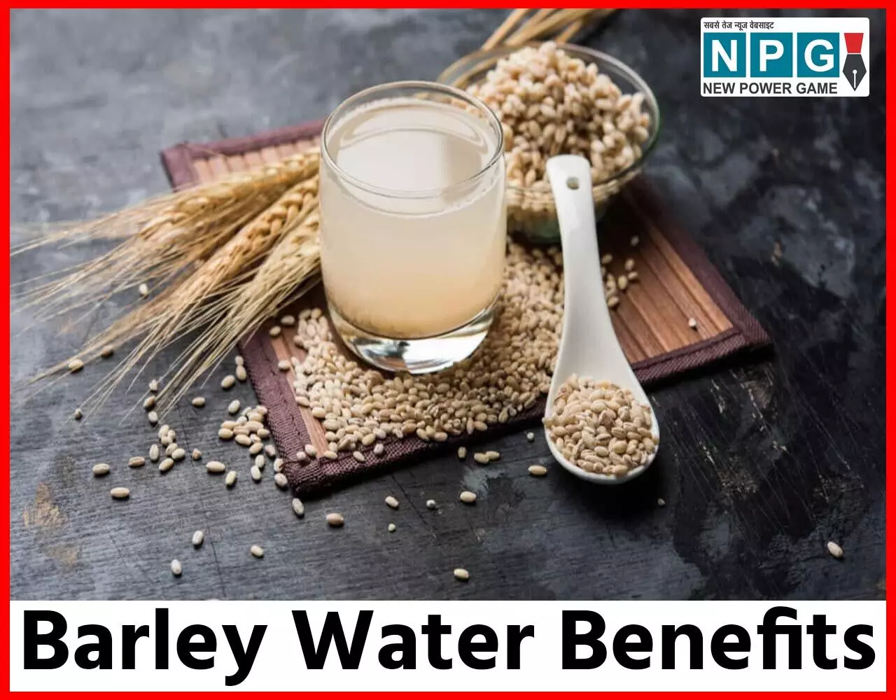 Barley Water Health Benefits In Hindi: वेट लाॅस, यूटीआई, बीपी से लेकर कैंसर से बचाव तक में फायदेमंद है जौ का पानी, बनाने का तरीका भी जाने…