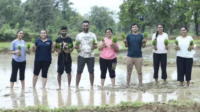 BALCO News: बालको कर्मचारियों ने किसानों के साथ मिलकर किया एसआरआई विधि से धान की रोपाई…