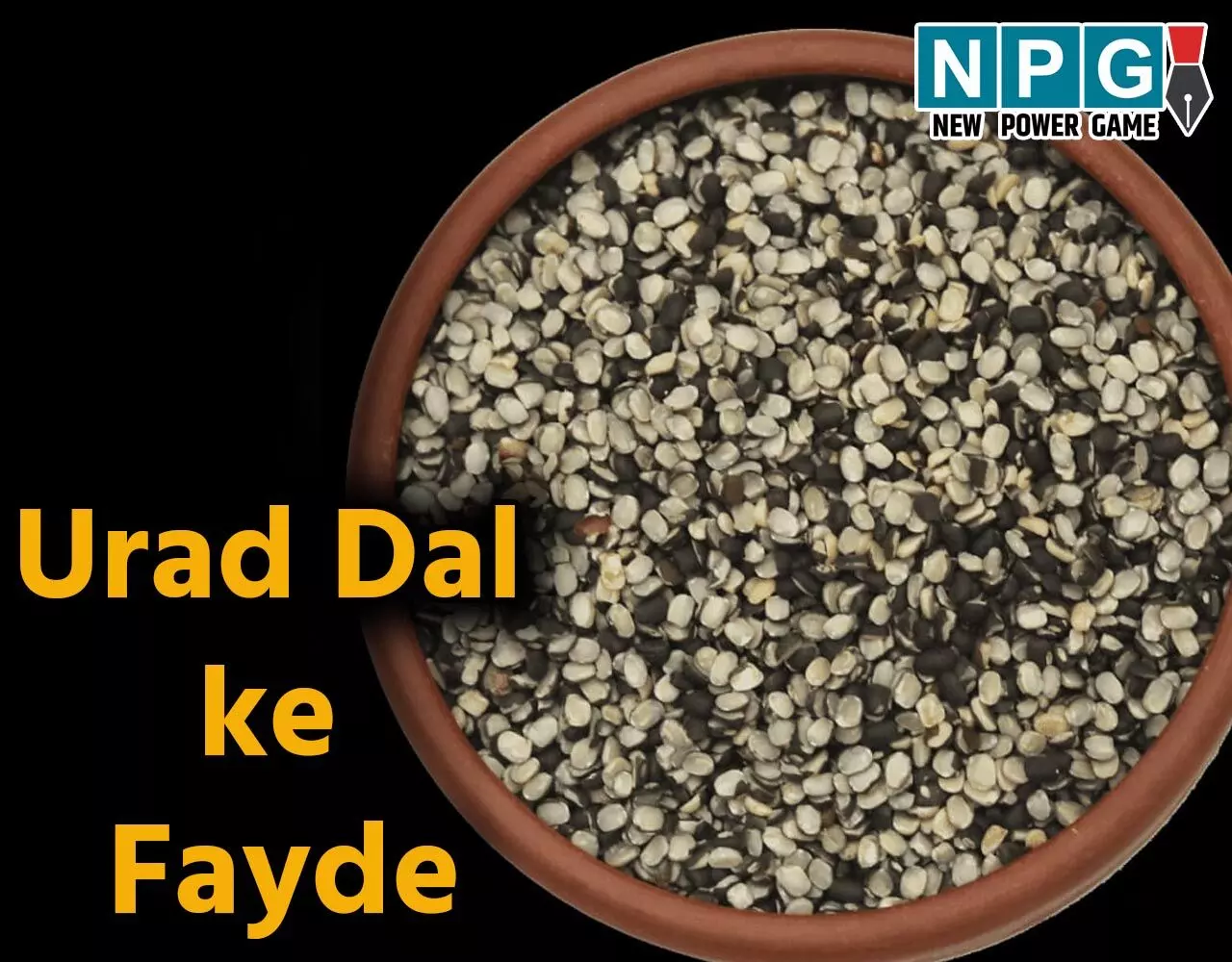 Urad Dal ke Fayde: उड़द दाल है बेहद फायदेमंद, पुरुषों के लिये खास, खून बढ़ाए, दिल को भी रखे स्वस्थ…