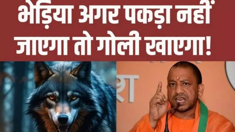 Bahraich Bhediya Attack: बहराइच में भेड़ियों का आतंक, योगी सरकार ने दिए आदमखोर को गोली मारने के आदेश