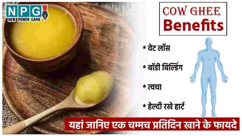 Cow Ghee Benefits: गाय का घी है शरीर के लिए अमृत समान, एक चम्मच प्रतिदिन खाने के फायदे यहां जानिए…