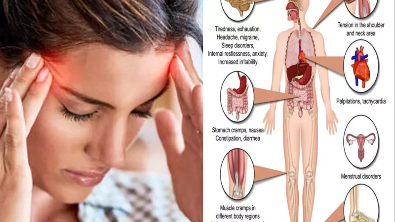 Magnesium Deficiency: राष्ट्रीय पोषण माह में जानिए शरीर के लिए मैग्नीशियम का महत्व, कमी से शरीर, दिमाग सब पर पड़ती मार, कमी पूरी करने के लिए खाएं ये चीज़ें…