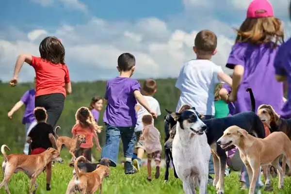 Chhattisgarh News: CG कुत्‍तों के आतंक पर NCPCR सख्‍त: नगरीय निकायों को सरकार ने जारी की 13 सिफारिशें, करना होगा यह काम