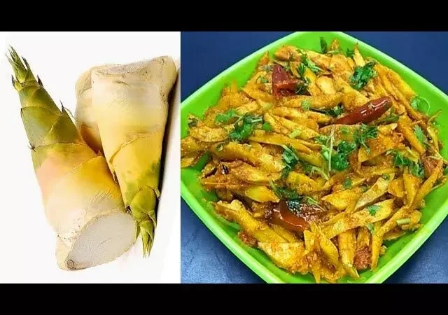 Karil Vegetables in Chattisgarh : यहां बांस से मार नहीं सब्जी खाई जाती है…नाम है "करील", जानिए इसे खाना पड़ सकता है कितना महंगा और फ़ायदें