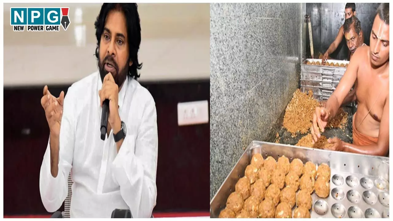 Tirupati Laddu Mandir Controversy: तिरुपति लड्डू में गोमांस और सूअर की चर्बी…पवन कल्याण ने की 'सनातन धर्म रक्षण बोर्ड' बनाने की मांग