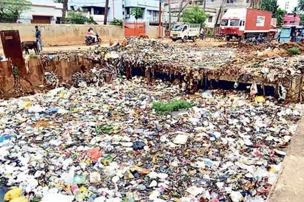 Raipur News: जानिये.. कैसे मलेरिया, डेंगू के लिए नगर निगम और स्वस्थ विभाग से ज्यादा जिम्मेदार है पर्यावरण संरक्षण मंडल