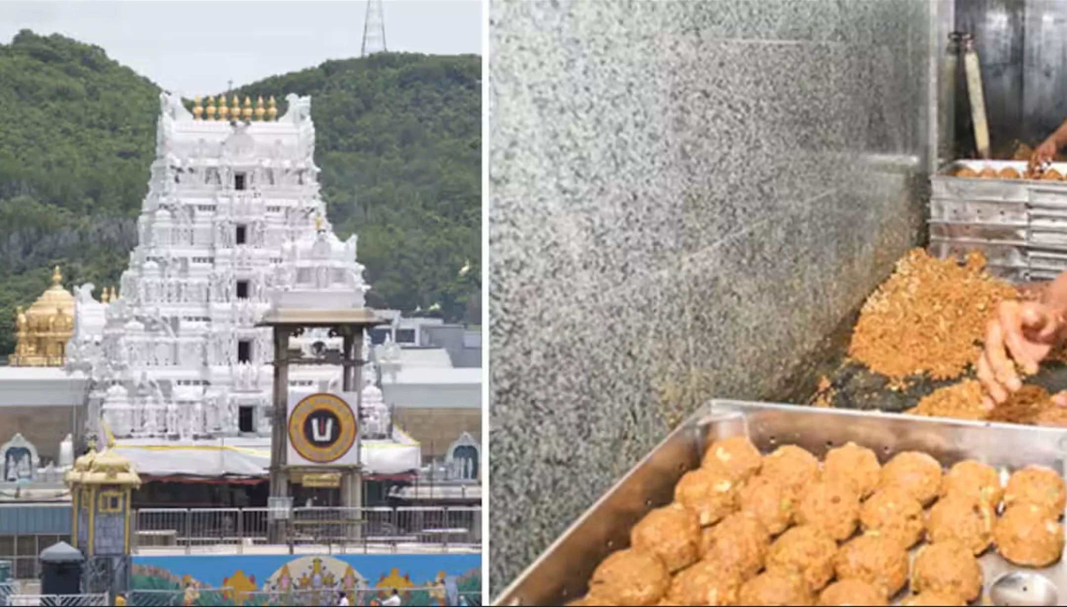Tirupati Temple Laddu Controversy: चर्बी वाला प्रसाद विवाद, राम मंदिर के मुख्य पुजारी का दावा, राम मंदिर में भी बांटे गए थे 300 किलो तिरुपति लड्डू