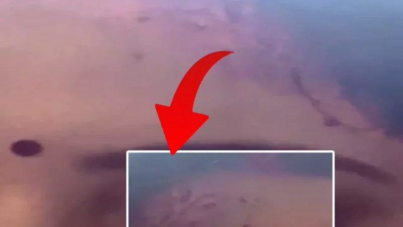 Anjana Singh News: इस मशहूर एक्ट्रेस की हालत हुई गंभीर! माथे से खून बहता VIDEO किया शेयर, देखिए…