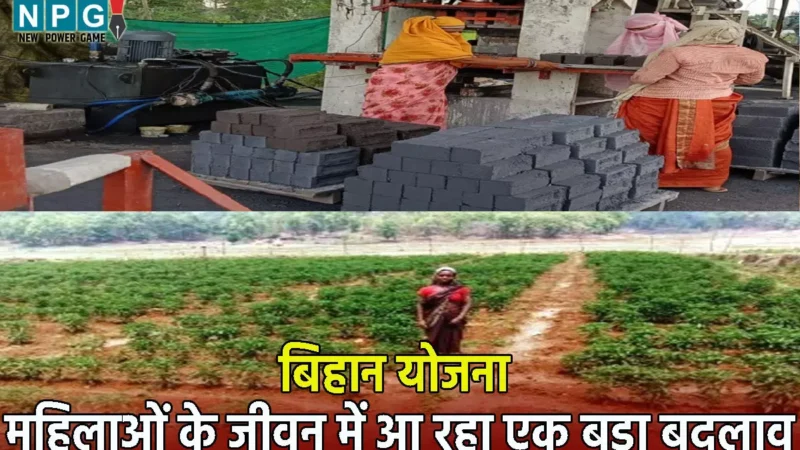 Bihaan Yojana: छत्तीसगढ़ सरकार की बिहान योजना से महिलाओं के जीवन में आ रहा एक बड़ा बदलाव, स्व सहायता समूह से जुड़कर बन रही लखपति दीदी…