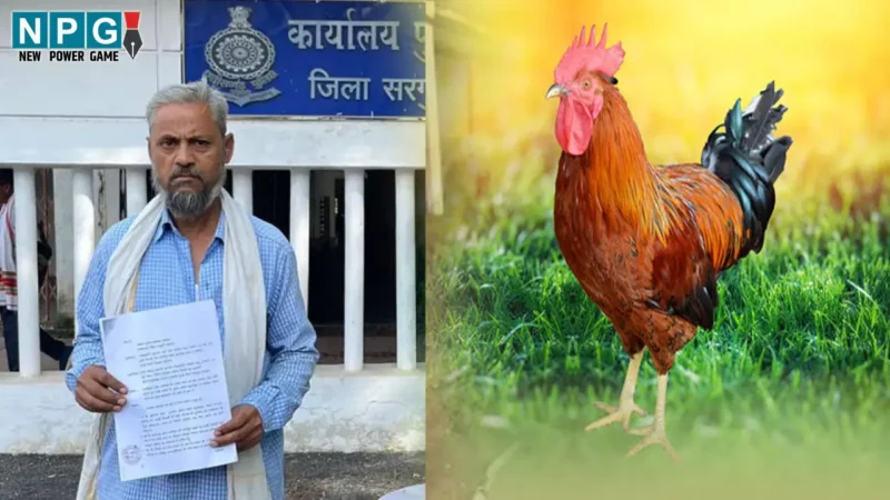 Ambikapur News: SP साहब मेरा मुर्गा चोरी हो गया, पुलिस नहीं कर रही कार्रवाई… शिकायत लेकर अधीक्षक कार्यालय पहुंचा बुजुर्ग…
