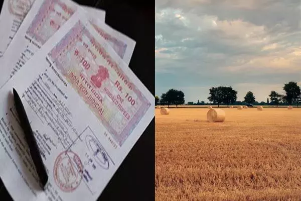 chhattisgarh News: पटवारी का कमाल देखिए… 75 एकड़ सरकारी जमीन को झटके में बना दिया निजी