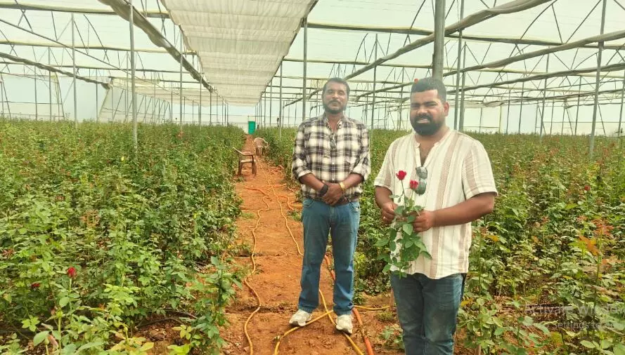 छत्तीसगढ़ में डचरोज की खेती से कमलाडांड़ के एबी अब्राहम बने आत्मनिर्भर, उद्यानिकी फसल को बढ़ावा देने विष्णुदेव सरकार कर रही है निंरतर प्रयास