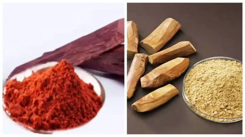 Red or White sandalwood: चेहरे के लिए लाल या सफेद दोनों में से कौन सा चंदन है बेस्ट, जानें दोनों की खासियत