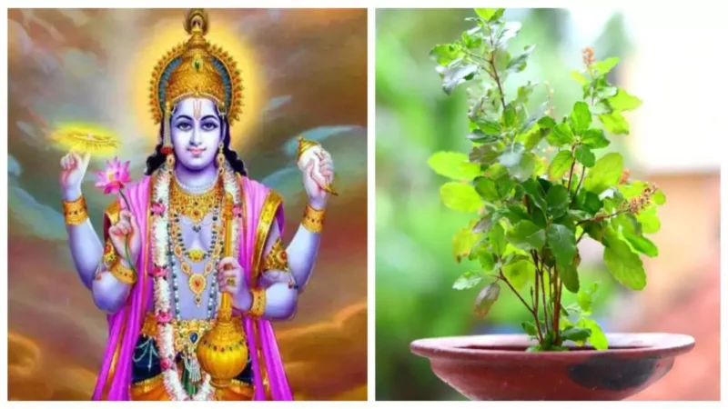 Tulsi Puja 2024: कार्तिक मास में इस विधि से करें तुलसी पूजा, साथ ही सुख-समृद्धि के लिए करें तुलसी के ये उपाय