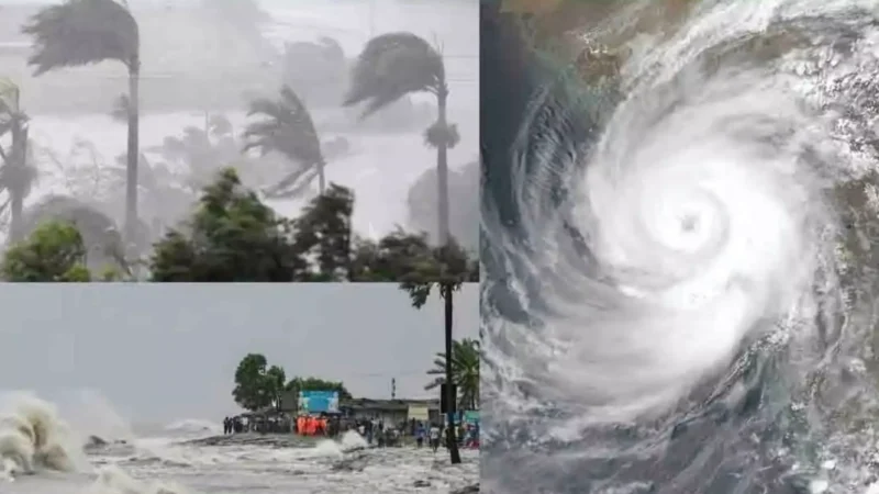 Cyclone Dana Landfall Updates:ओडिशा में तबाही मचा रहा चक्रवाती तूफान 'दाना', तूफानी हवाएं, भारी बारिश, ऊंची-ऊंची लहरें, जानिए आज का मौसम अपडेट