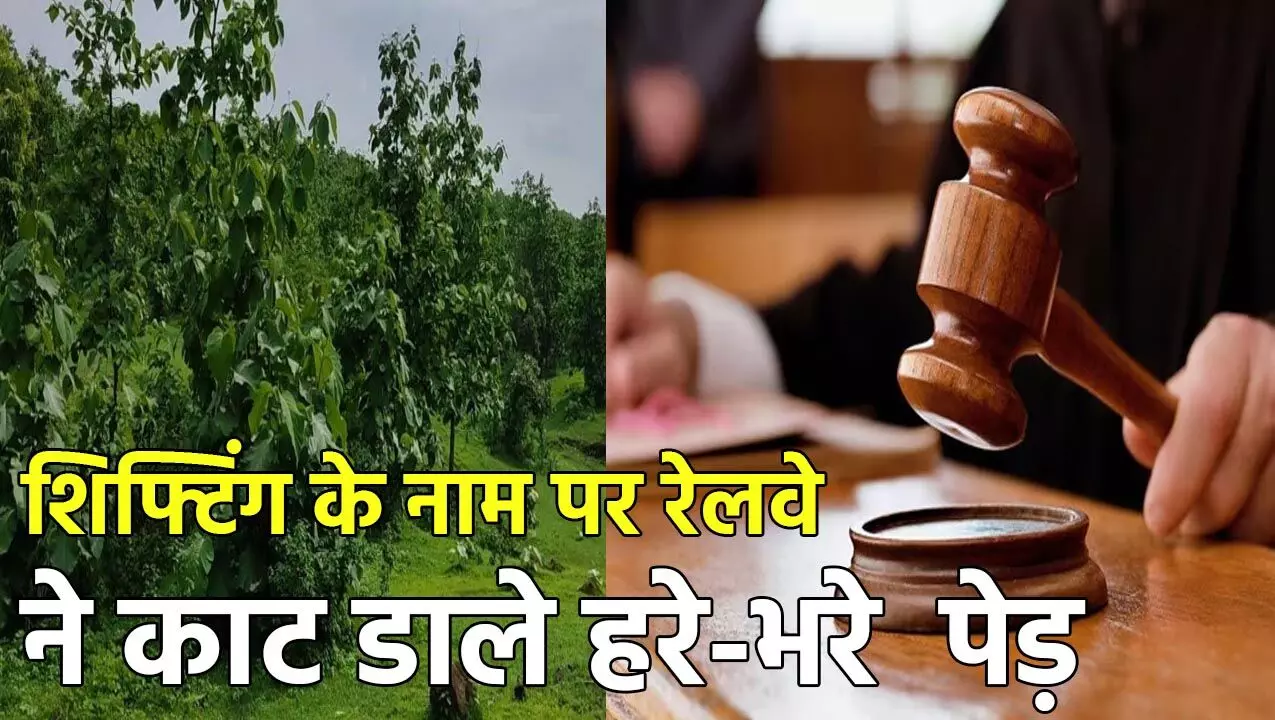 Bilaspur High Court: शिफ्टिंग के नाम पर रेलवे ने काट डाले सैकड़ों हरे-भरे पेड़, हाई कोर्ट ने जताई नाराजगी, कहा…