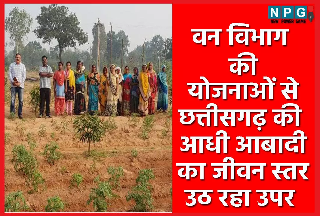 विष्णुदेव सरकार की विशेष पहलः वन विभाग की योजनाओं से छत्तीसगढ़ की महिलाएं लिख रहीं आर्थिक समृद्धि की इबारत, उपर उठ रहा जीवन स्तर